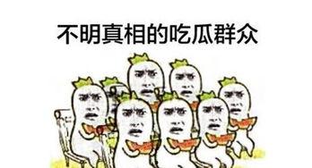 吃瓜群众娱乐大百科,揭秘娱乐圈幕后故事与热点事件