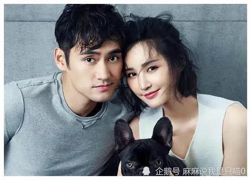 娱乐圈吃瓜爆料小徐徐是谁