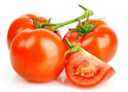 读心吃瓜番茄小说娱乐圈,番茄小说中的娱乐圈风云录